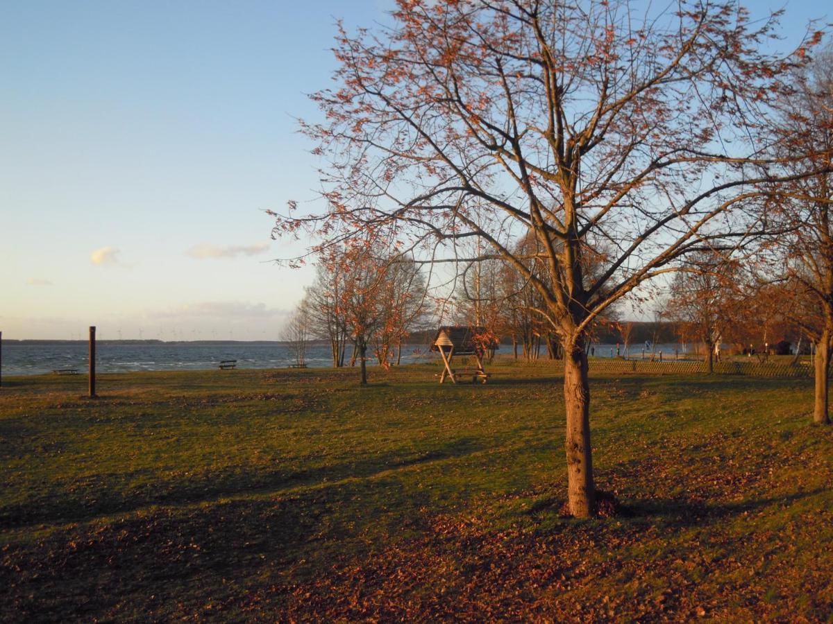 Lenzer Parkblick Am Plauer See Bagian luar foto