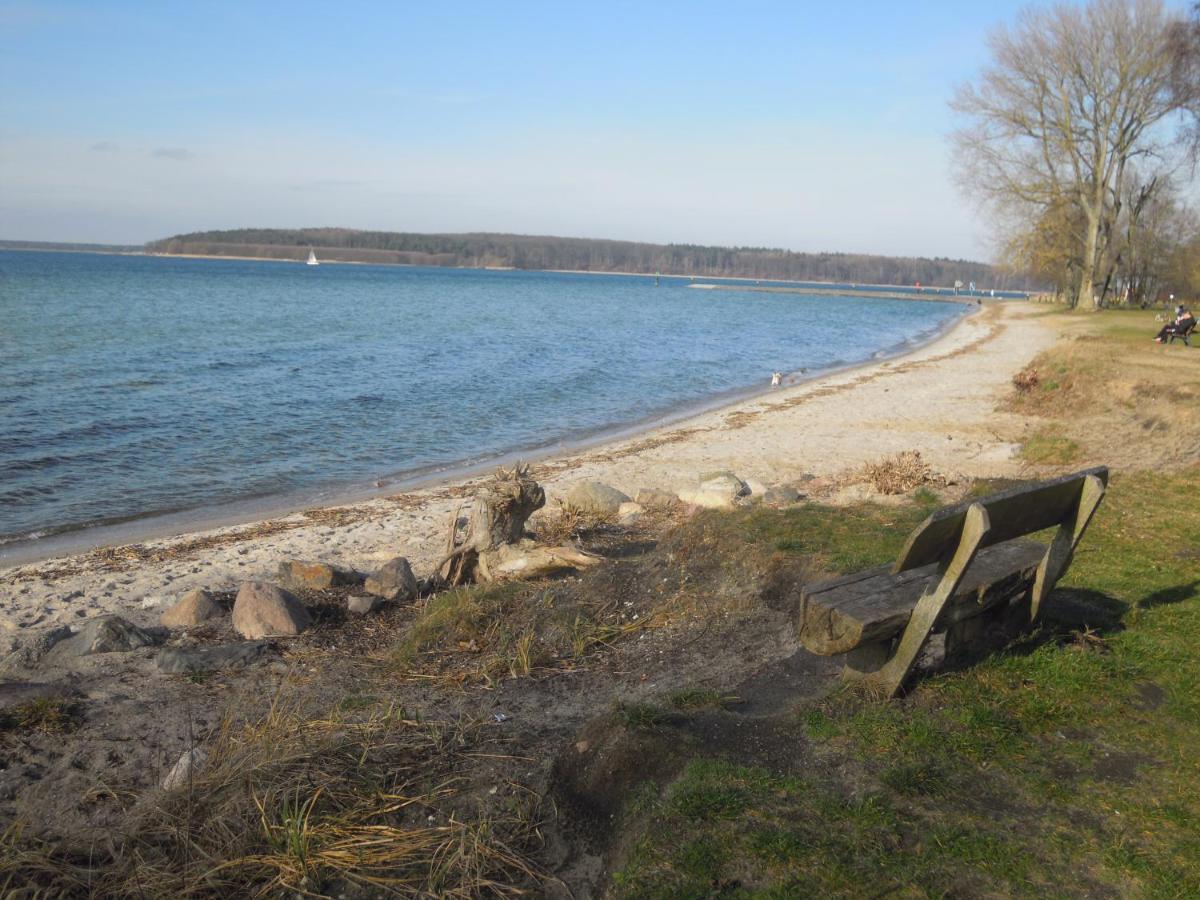 Lenzer Parkblick Am Plauer See Bagian luar foto