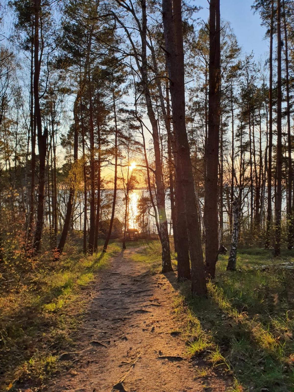 Lenzer Parkblick Am Plauer See Bagian luar foto